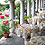 Ristorante Il Torchio Antico